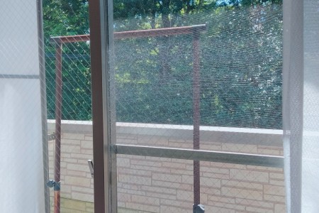 IMG20210910123050.jpg